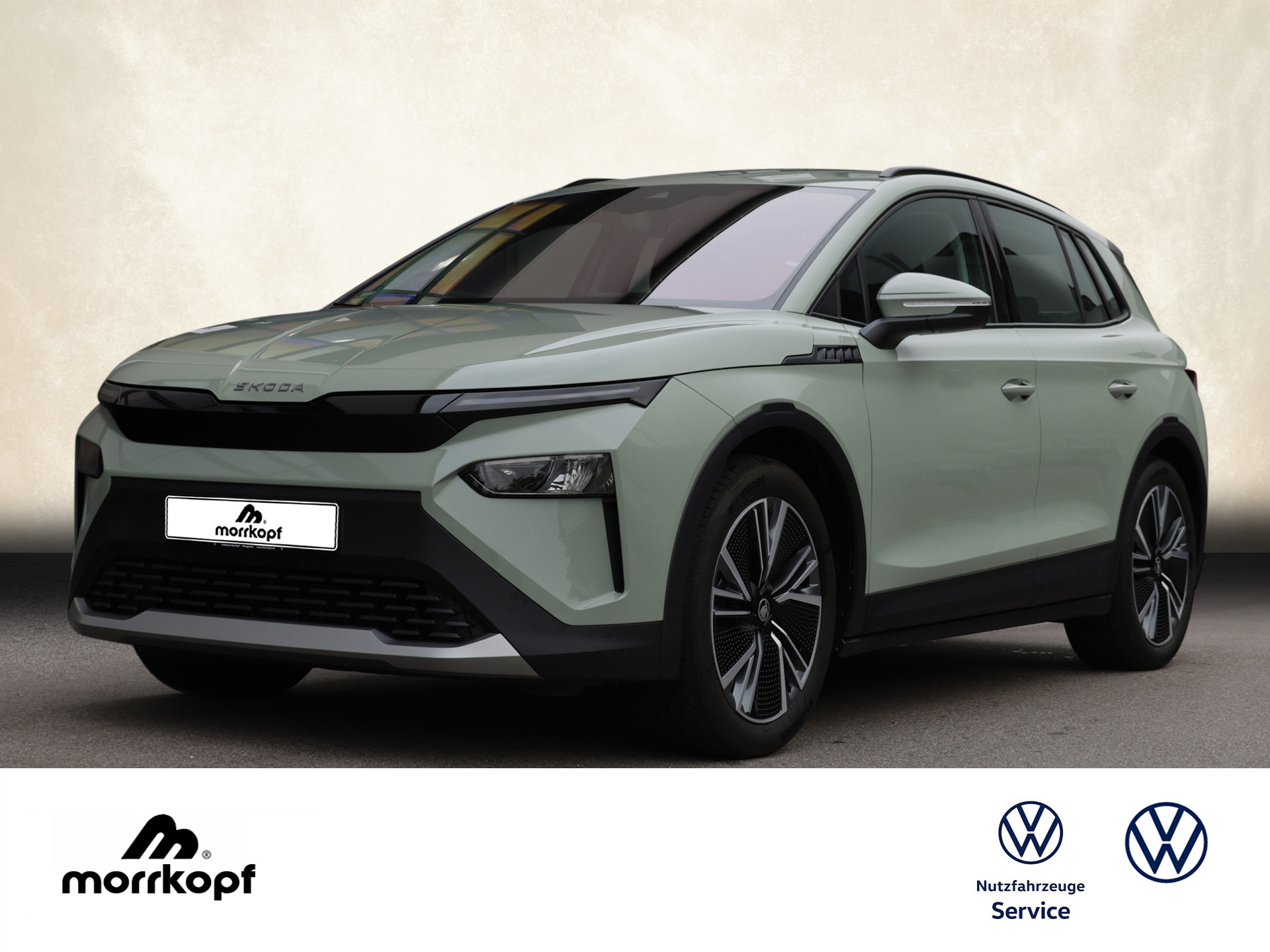 Elroq 50 Tour +MAX: 373KM+ALLWETTERREIFEN+