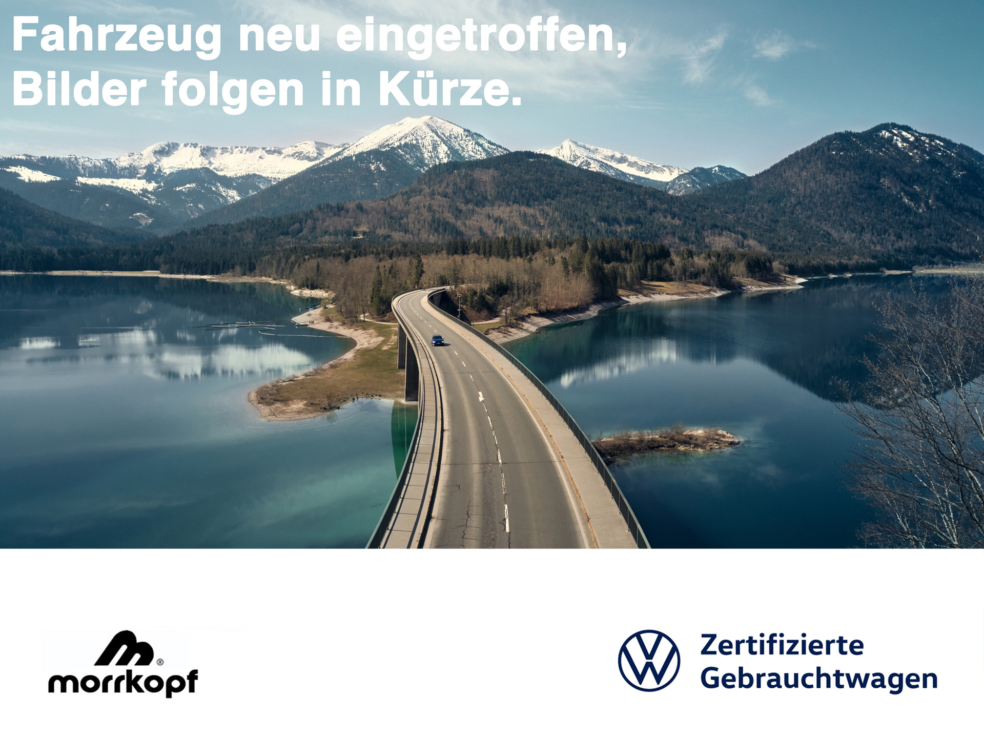 Golf 1.0eTSI DSG MOVE +APP-CONNECT+LM+